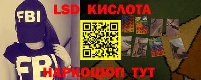 гидра Гатчина