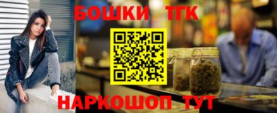 гидра Гатчина
