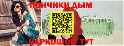гидра Гатчина