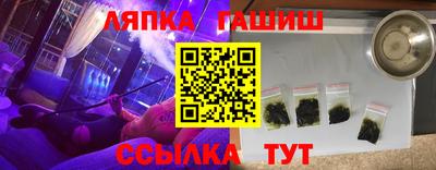 гидра Гатчина