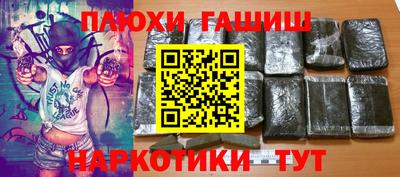 гидра Гатчина