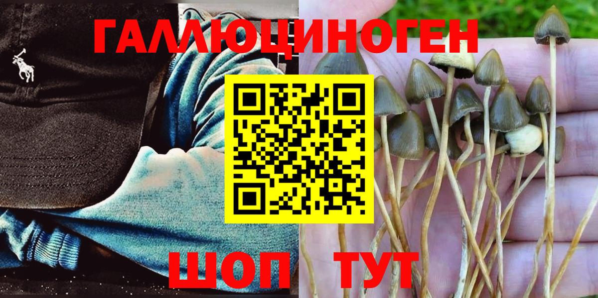 Отрадный  Псилоцибиновые грибы мухоморы  Вход с VPN 